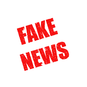 Dezinformace Význam